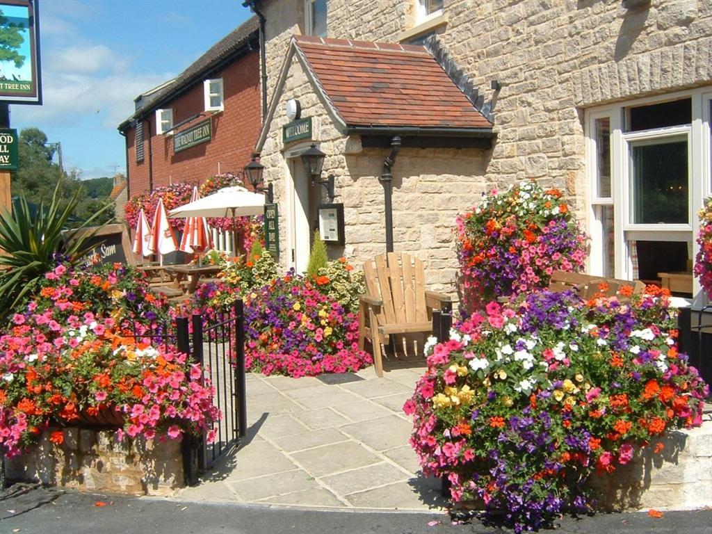 The Walnut Tree Inn Mere Mere  المظهر الخارجي الصورة